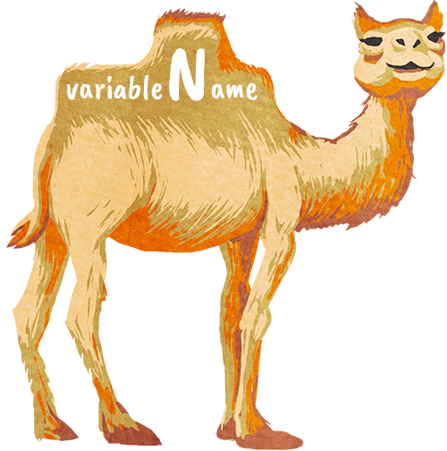../_images/camelCase.png